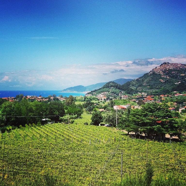 Il Poggio Del Cenito Castellabate